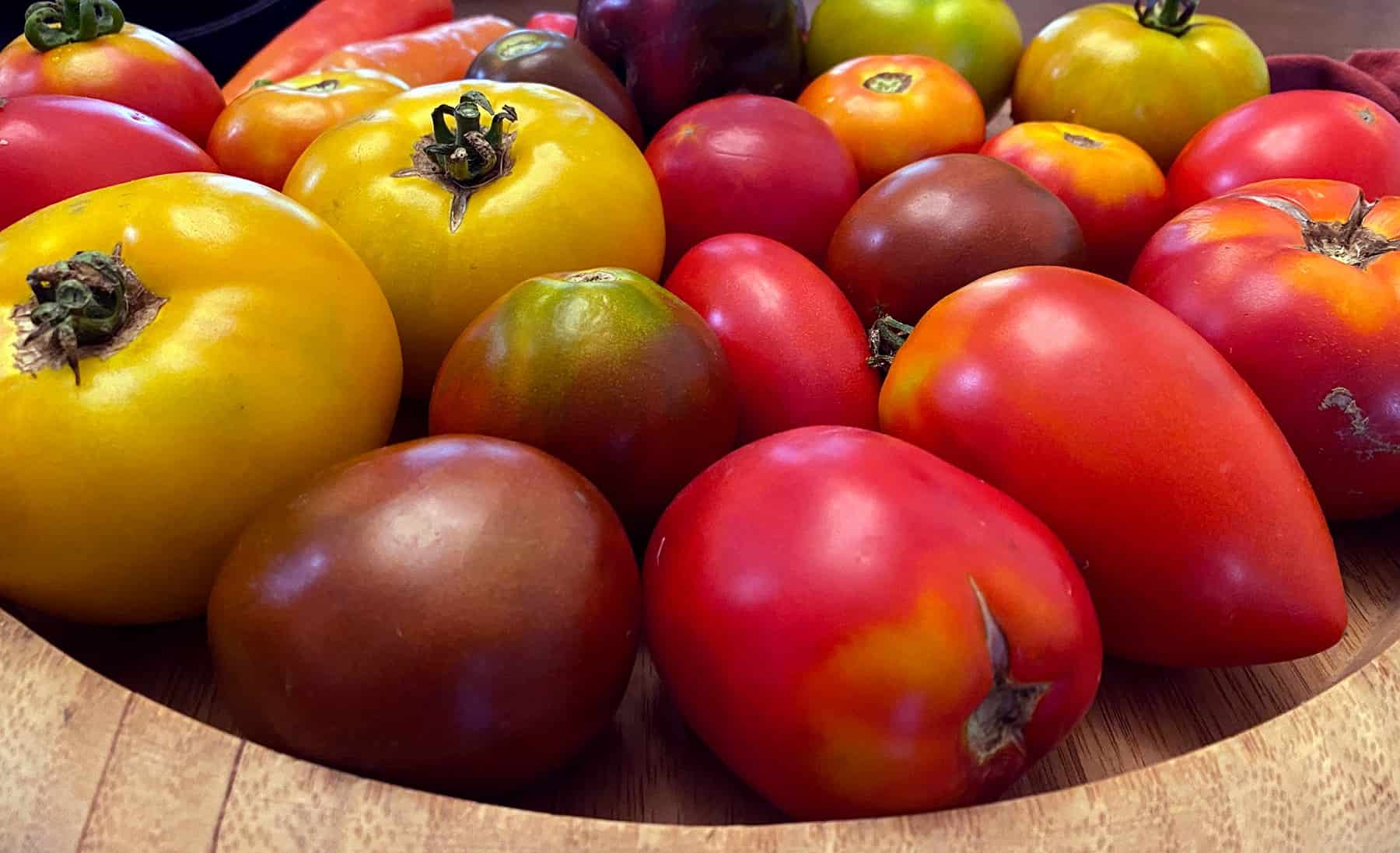 10 Concepts for Rising Tomatoes * Enormous Weblog of Gardening