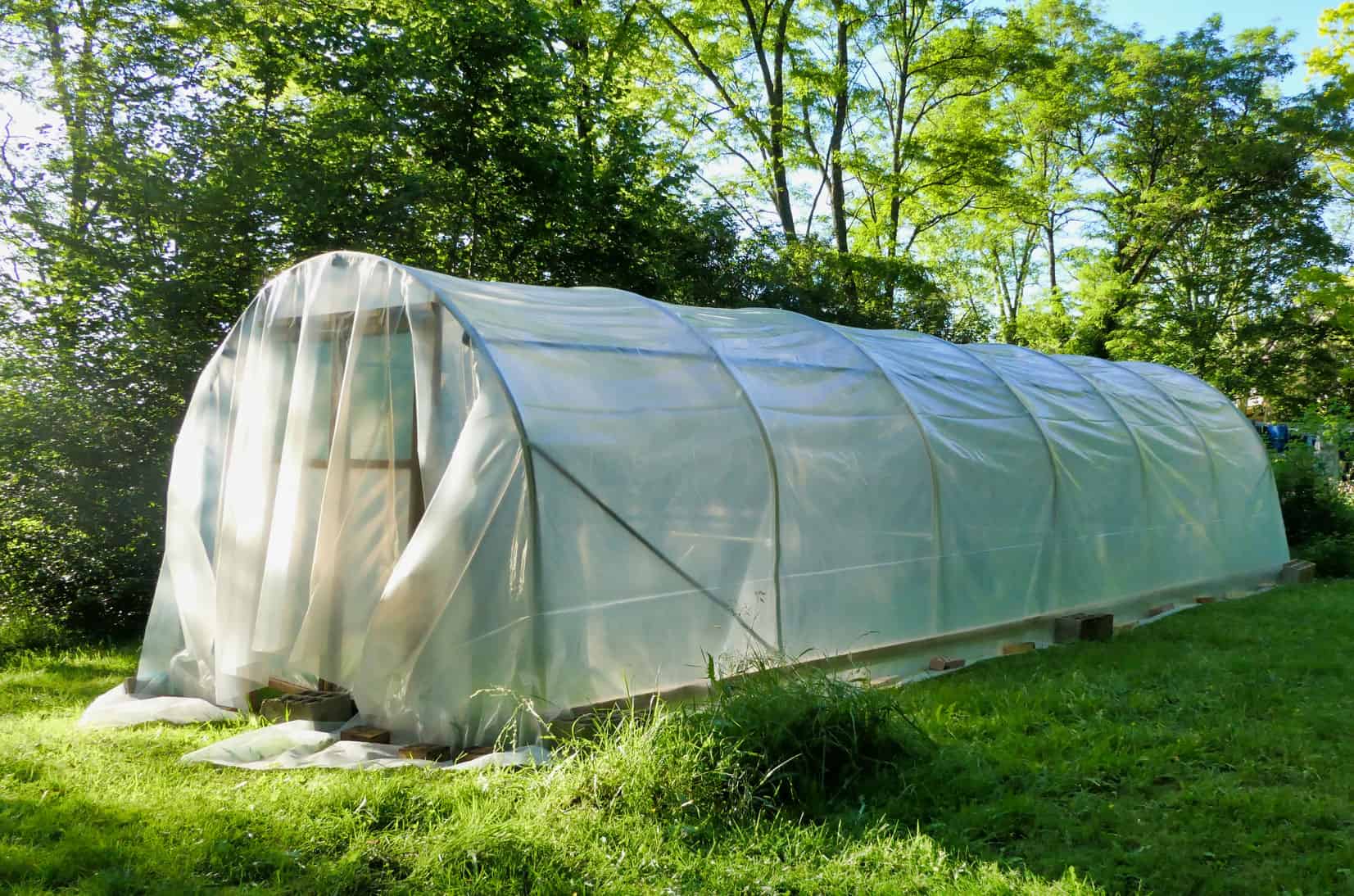 Polytunnel Rising For Newcomers * Huge Weblog of Gardening