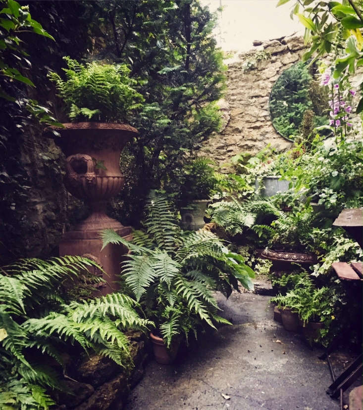 On my mood board, a courtyard garden created by Somerset-based antiques dealer Jack Laver Brister—a masterclass in putting together an abundance of shade-loving plants, beautiful reclaimed and antique pieces, and lush evergreens.