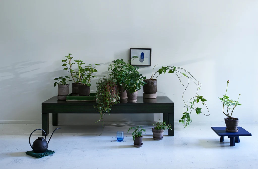 The Finest Houseplant Equipment for Doting Plant Dad and mom