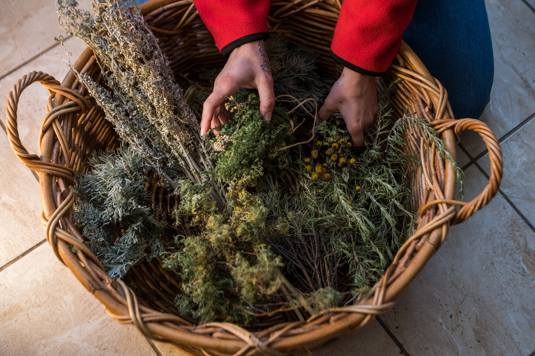 A Go to to the Herb and Medicinal City Backyard